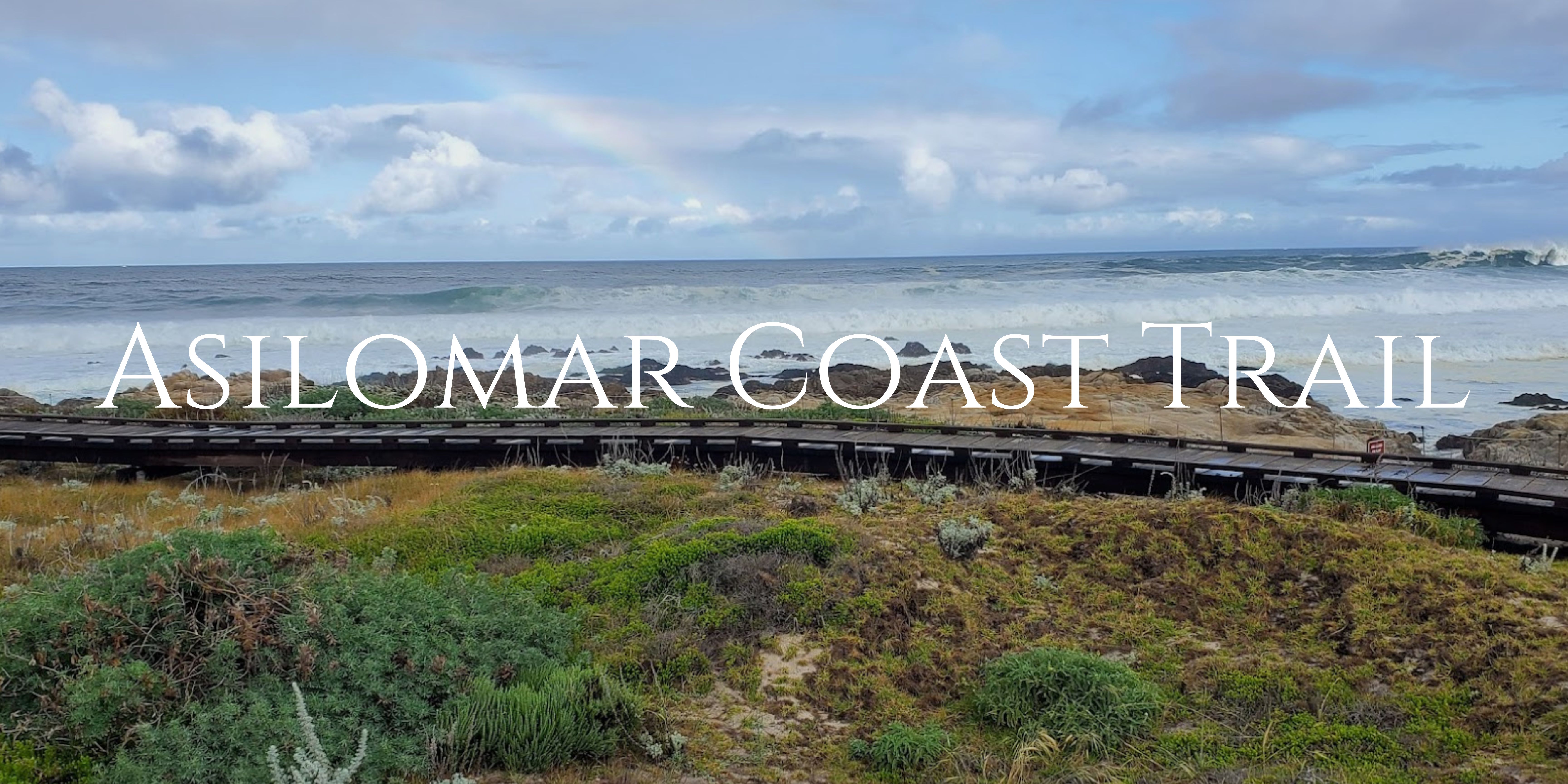 Coast Trail Boardwalk with Rainbow Above